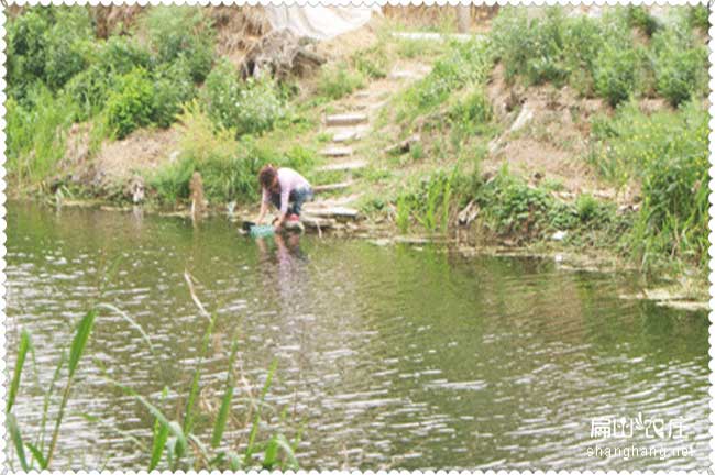 蘇北魚米之鄉土雞（jī）