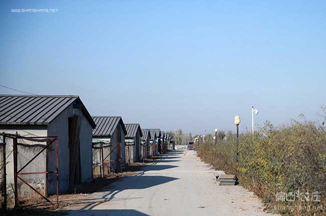 七彩山雞孵化基地