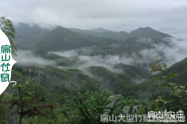 雲南大中土雞養殖（zhí）基（jī）地