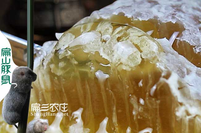 中都蜜蜂養殖（zhí）