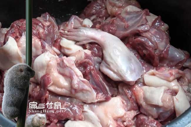 西雙版納竹鼠（shǔ）肉價格