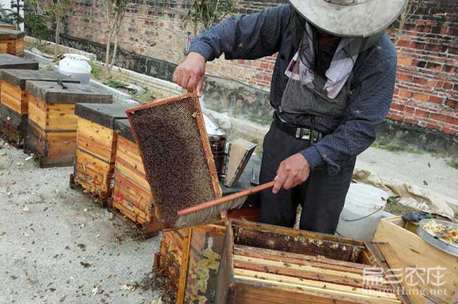 貴州巢礎片工具製作