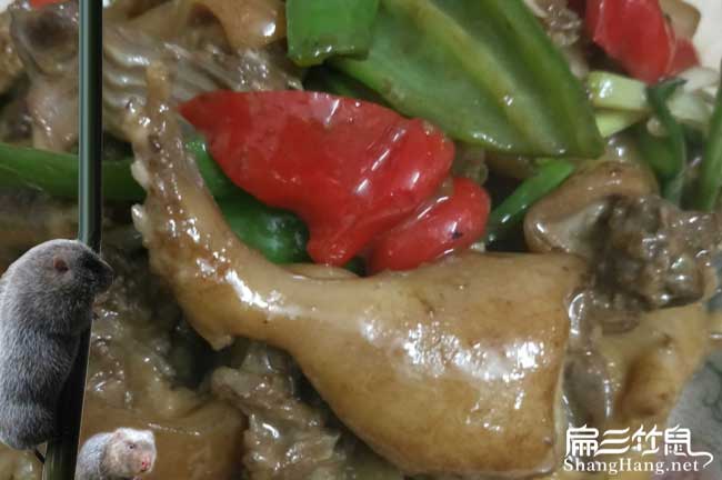 會昌竹鼠肉價（jià）格