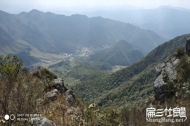 比利（lì）時、水（shuǐ）口花兔（tù）竹鼠種