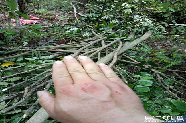 田乾相對南方地區來說