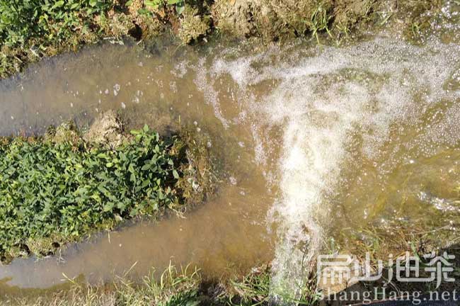 江西油茶地