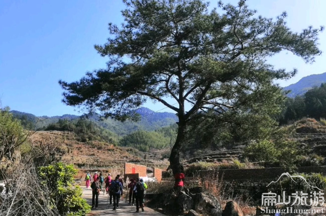 扁山迎客鬆（sōng）風景