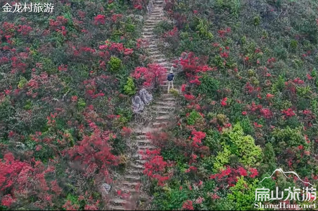 福建（jiàn）金龍村風景