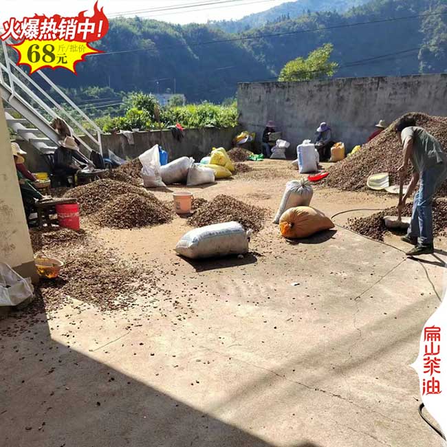 福建茶果批發