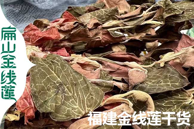 龍岩（yán）的金線蓮幹貨