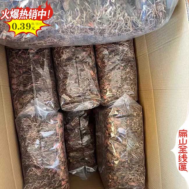 漳州金線蓮（lián）幹貨批發