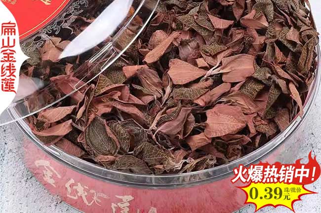 仙桃紅霞金線蓮（lián）種苗批發