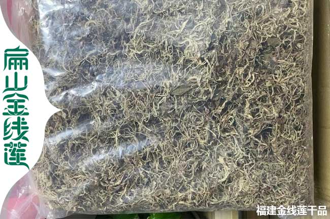 浙江金線蓮幹貨