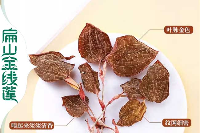 寧縣金線（xiàn）蓮泡茶（chá）