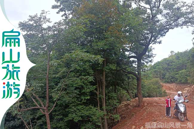 上杭扁山（shān）存新開公路道路旁風景