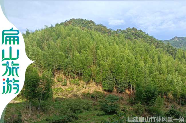 閩西竹林風景區