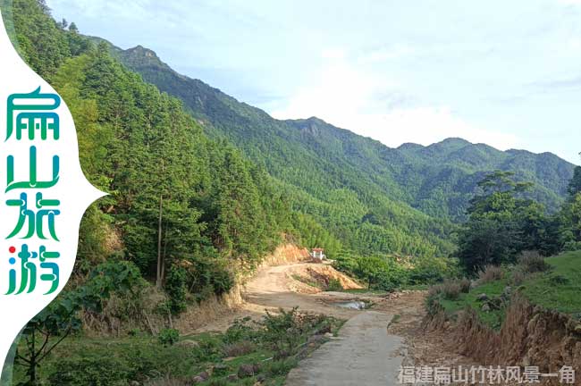 福建林業公（gōng）路風景（jǐng）一角