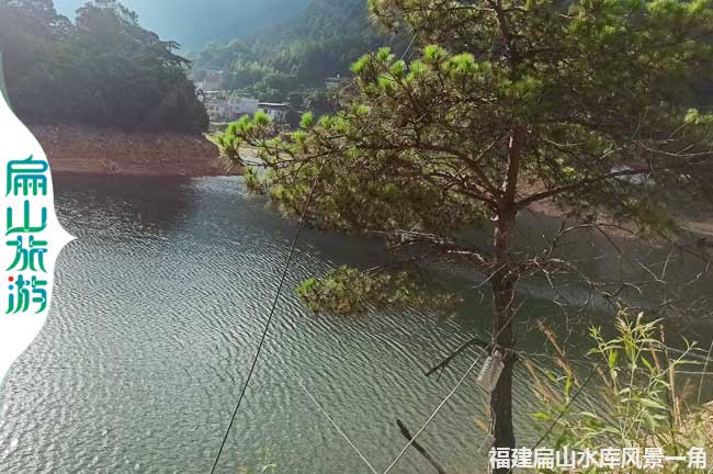 龍岩水庫釣魚地方