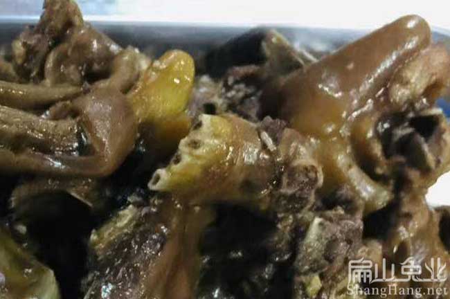 泉州肉（ròu）兔批發（fā）