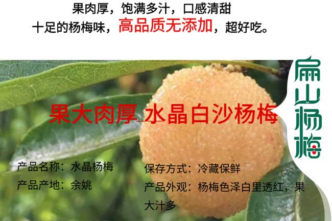 無錫白沙楊梅回（huí）收