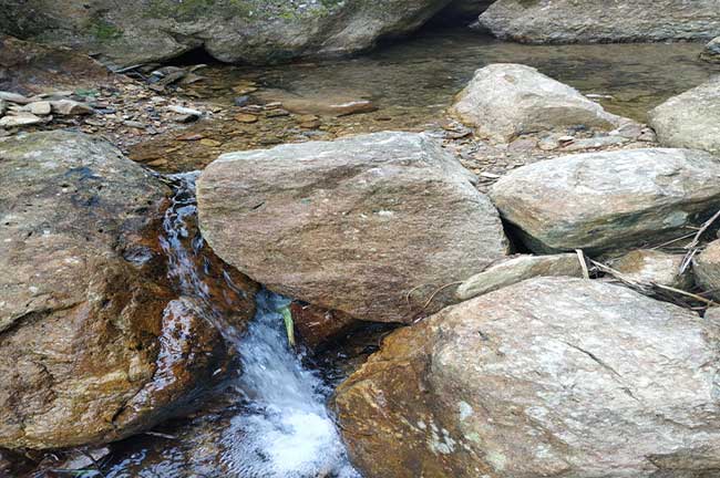 龍岩正番（fān）鴨養殖（zhí）基地