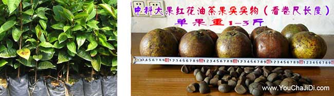 孛畈中國（guó）人喜（xǐ）歡喜歡用