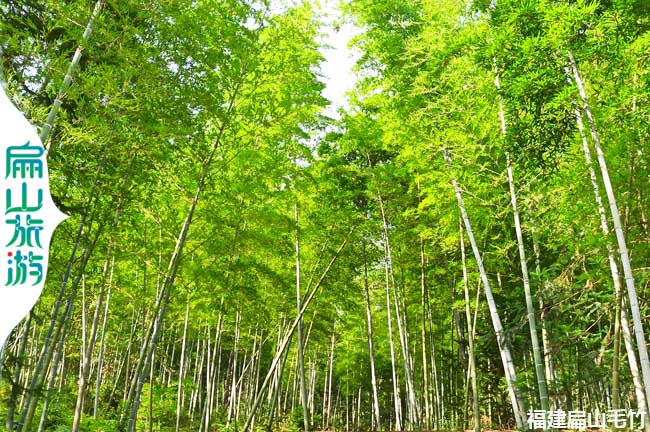 扁山水庫釣魚場附近