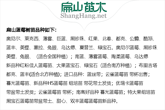 福建藍莓苗品種（zhǒng）