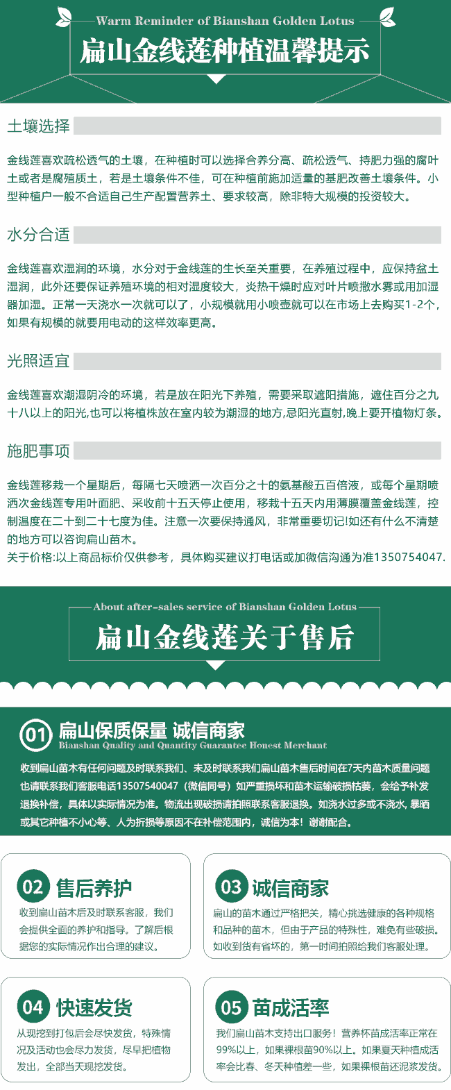 扁山金線蓮培育售後